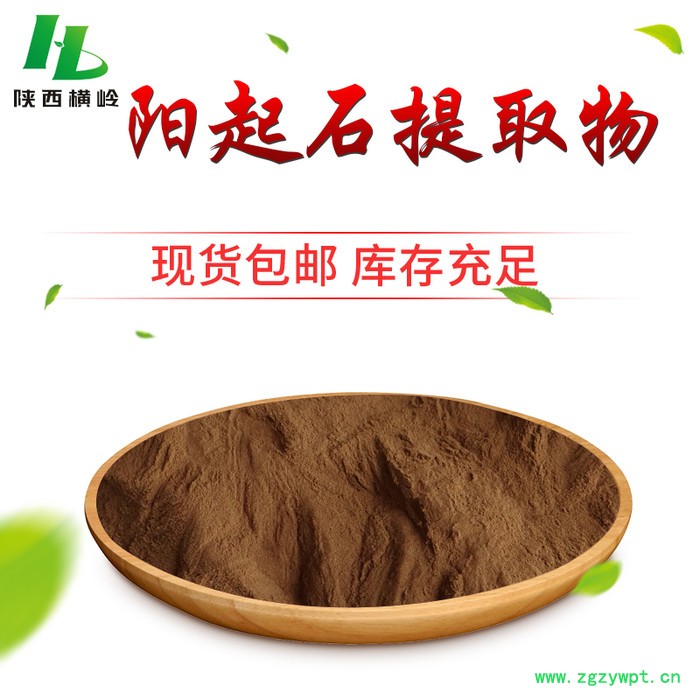 阳起石提取物 阳起石浓缩粉 横岭 厂家现货