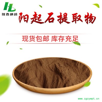 阳起石提取物 阳起石浓缩粉 横岭 厂家现货