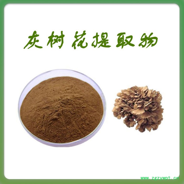 灰树花提取物 水溶 可定制 灰树花浓缩粉厂家 灰树花多糖图3