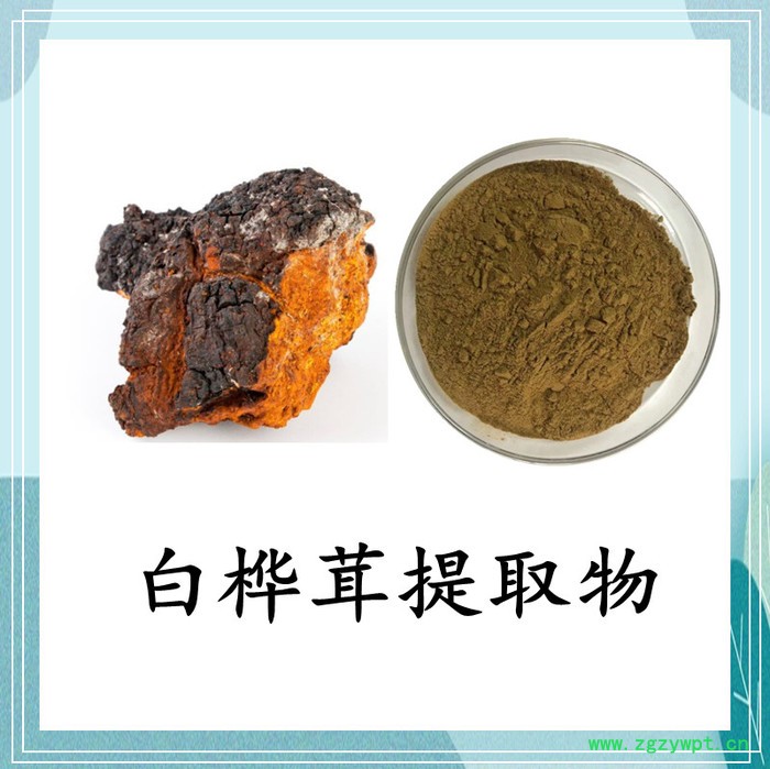 灰树花提取物 斯诺特 可定制图2