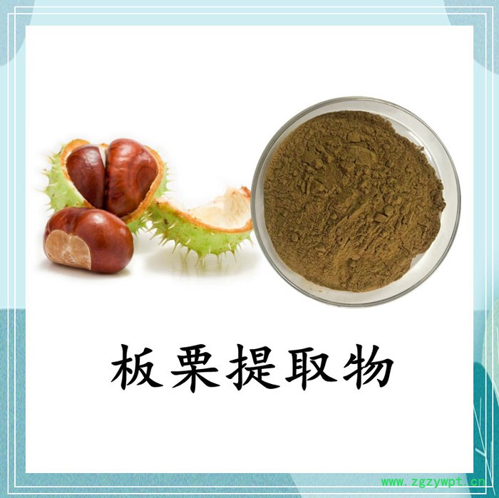 灰树花提取物 斯诺特 可定制图3