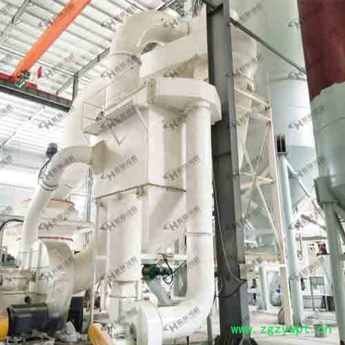 325目滑石粉雷蒙磨粉机成套设备图图2