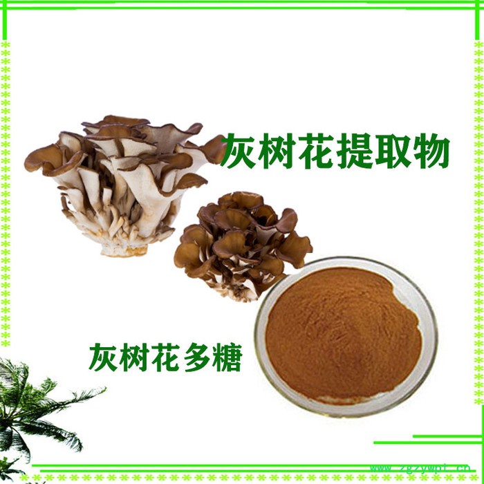 灰树花多糖  50%  灰树花提取物  灰树花粉图5