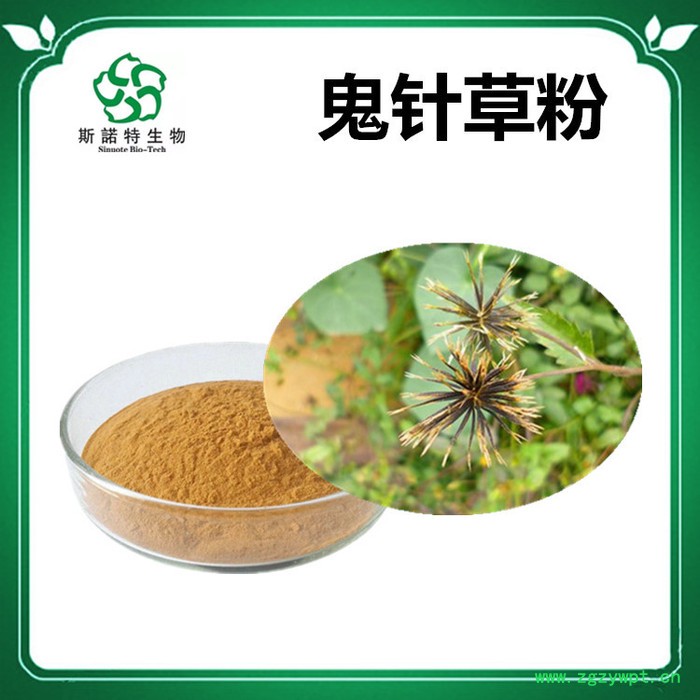 斯诺特 灰树花喷雾干燥粉 灰树花浸膏粉 厂家发货图2