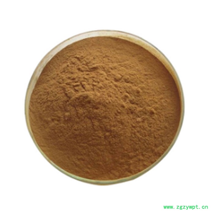 斯诺特 灰树花喷雾干燥粉 灰树花浸膏粉 厂家发货图6