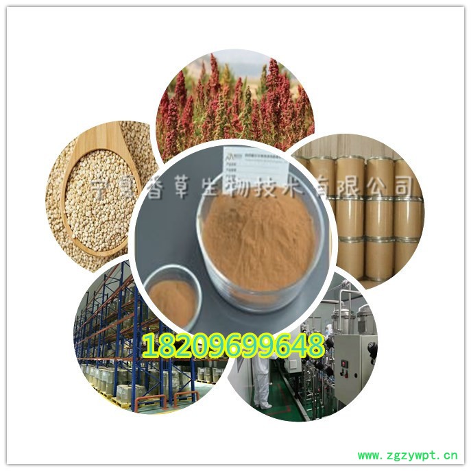 舞菇提取物多糖 香草生物批发灰树花粉120目 灰树花多糖粉现货图3