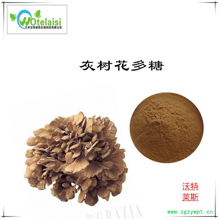 灰树花提取物10:1 速溶灰树花粉 灰树花多糖图2