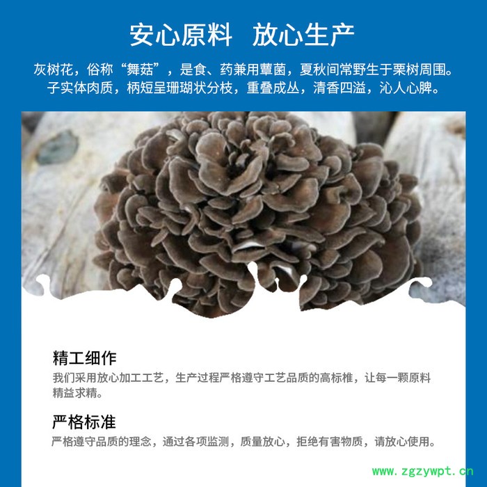 灰树花多糖 30%厂家现货 灰树花粉 灰树花提取物图2