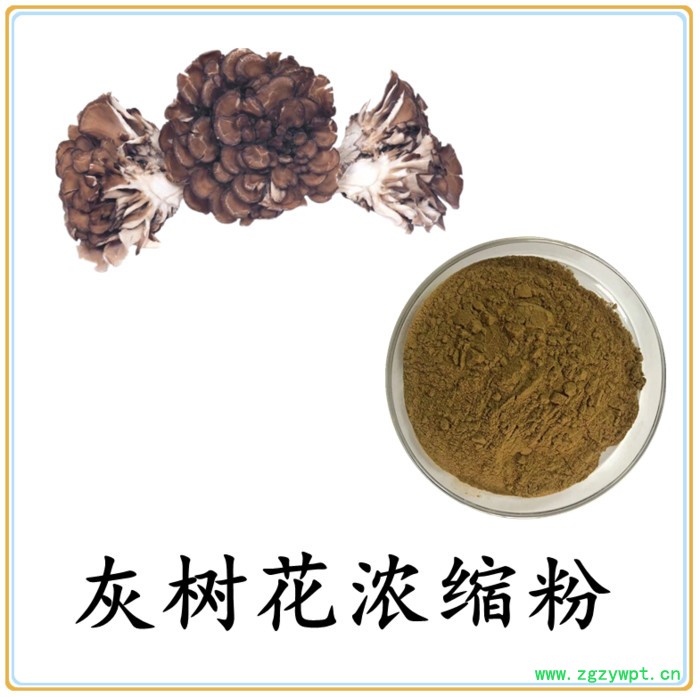 灰树花浓缩粉 水溶 六盘韵 可定制 源头厂家图6