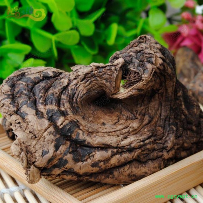 彩云之滇 云南特产 云南**菌50克黑虎掌菌干品 可褒可炒