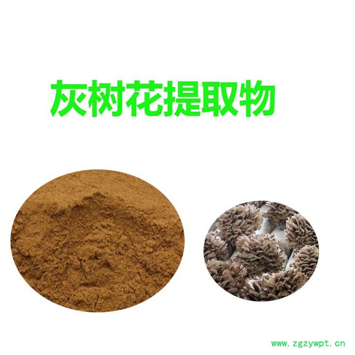 甘肃斯诺特 灰树花提取物 灰树花粉 免费拿样图3