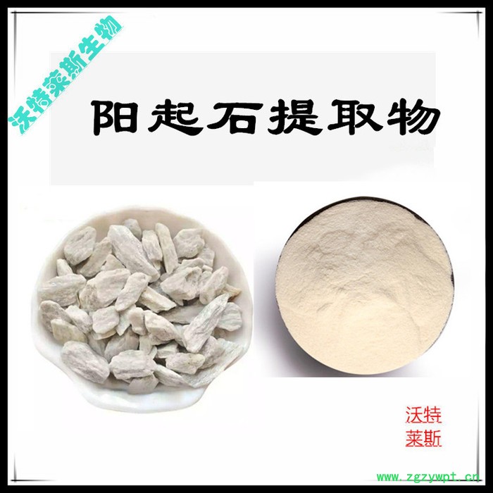 沃特莱斯 阳起石提取物10:1  速溶阳起石粉图3