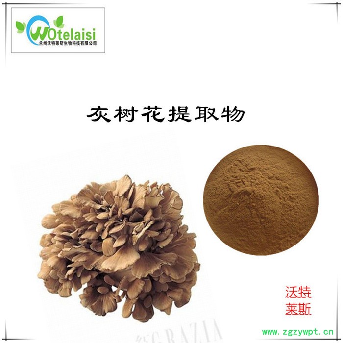 灰树花多糖30% 灰树花粉 舞茸粉图3