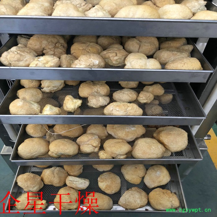 柠檬片,草莓冻干机 阿胶真空冷冻干燥机 虫草专用冷冻烘干机图8