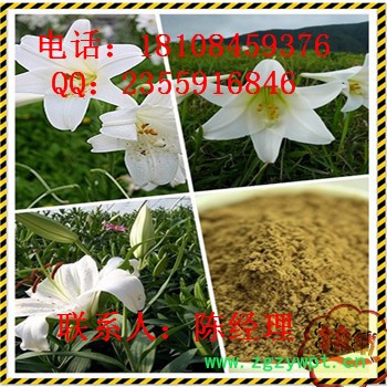 儿茶素 厂家-湖北远成赛创科技有限公司 儿茶素 154-23-4图2