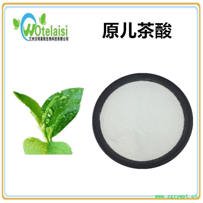 沃特莱斯 原儿茶酸 3,4-二羟基苯甲酸 现货包邮图4