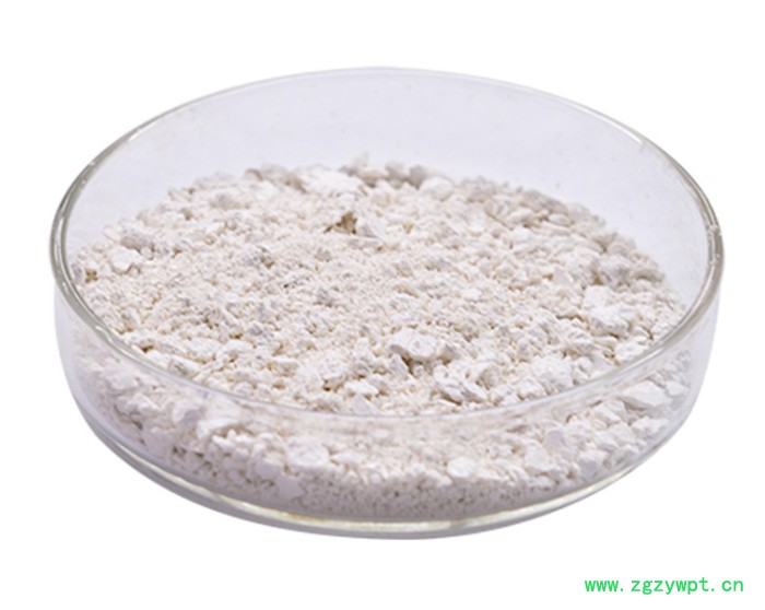 现货供应绿茶提取物 表没食子儿茶素没食子酸酯98% EGCG 80% 98% CAS:989-51-5图2