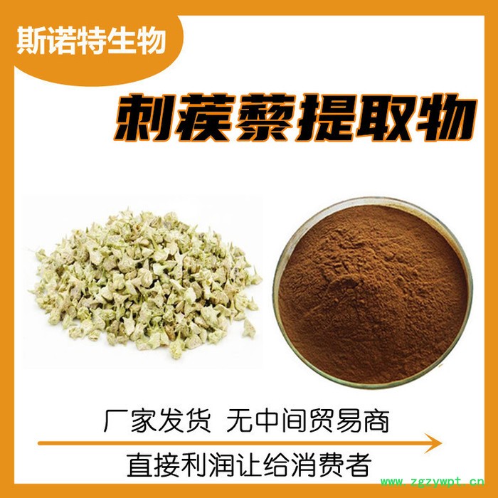 斯诺特生物 儿茶素 儿茶提取物 儿茶浓缩粉图4