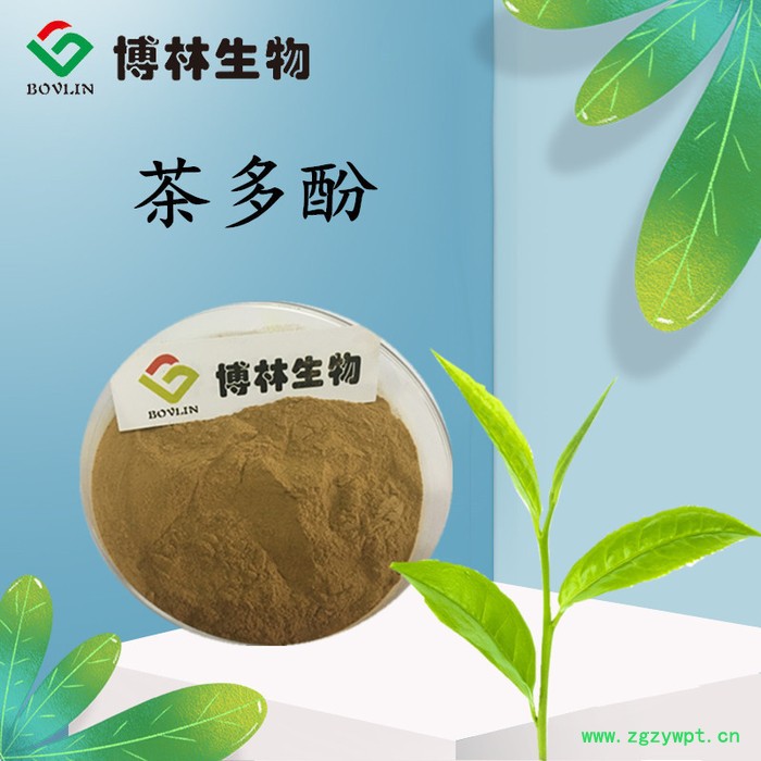 茶多酚50% 绿茶提取物 绿茶萃取物 儿茶素 茶多酚纯粉图4