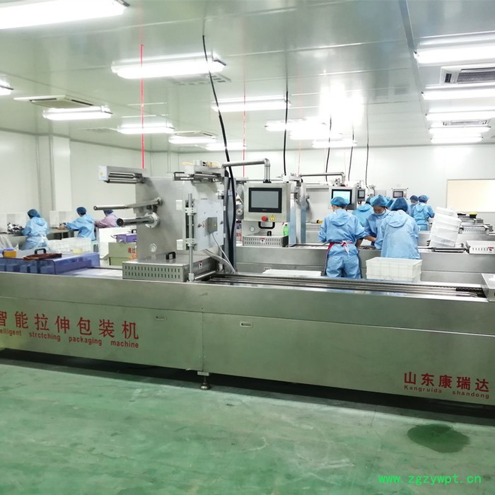 康瑞达 小型拉伸膜包装机 牛肉干全自动真空包装机 阿胶糕真空包装机图2