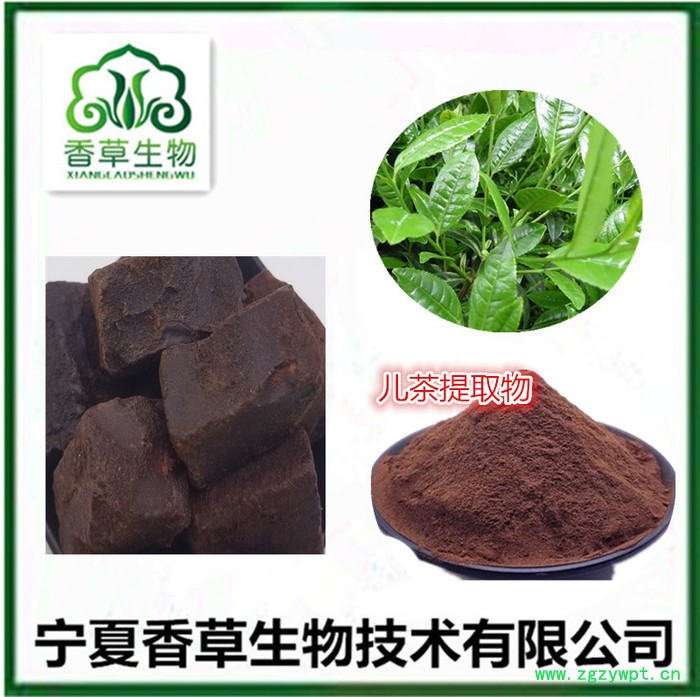儿茶提取物出厂价 孩儿茶全粉水溶型 儿茶素90%价格图5
