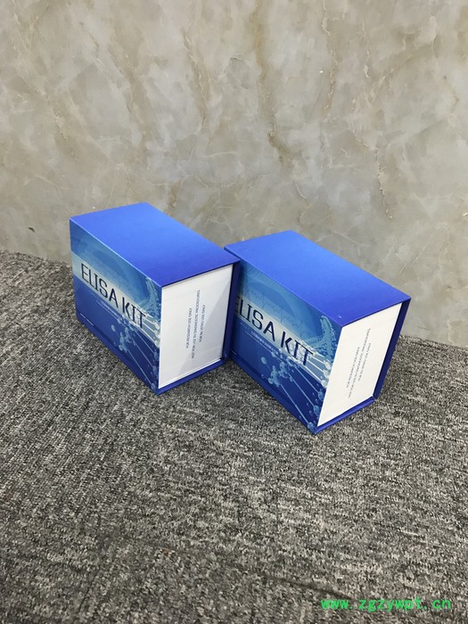 睿信生物 小鼠儿茶素（catechin）ELISA试剂盒价格合理图7