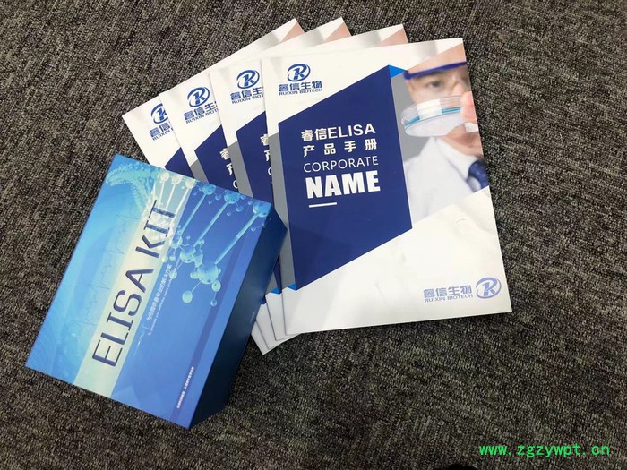 睿信生物 小鼠儿茶素（catechin）ELISA试剂盒价格合理图3