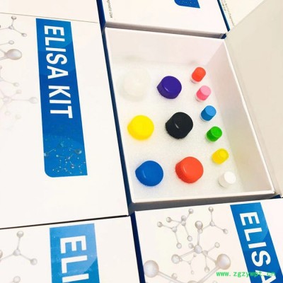 人儿茶酚胺 (CA)elisa检测试剂盒