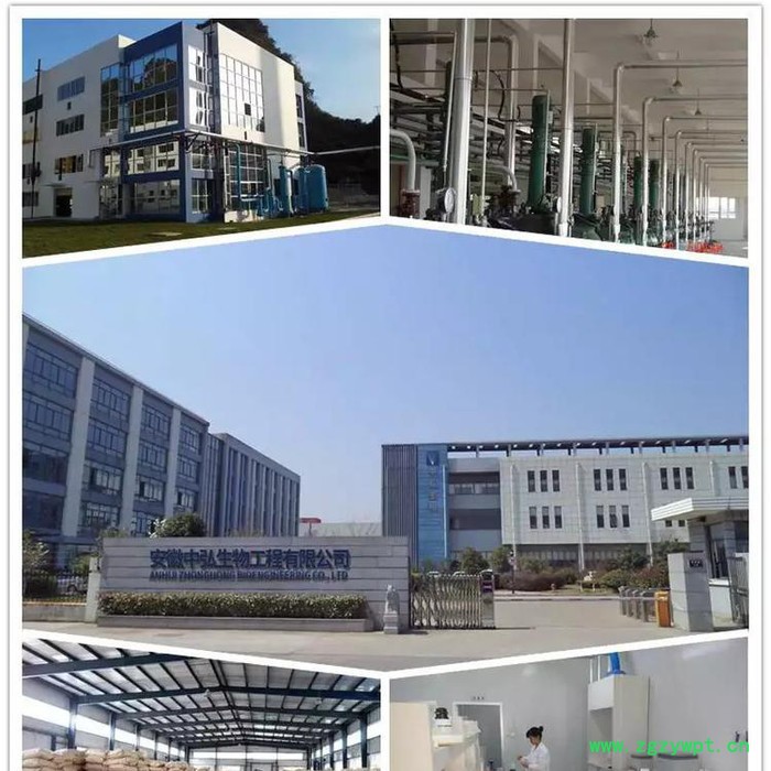 中弘 食品级儿茶素生产厂家 儿茶素图4