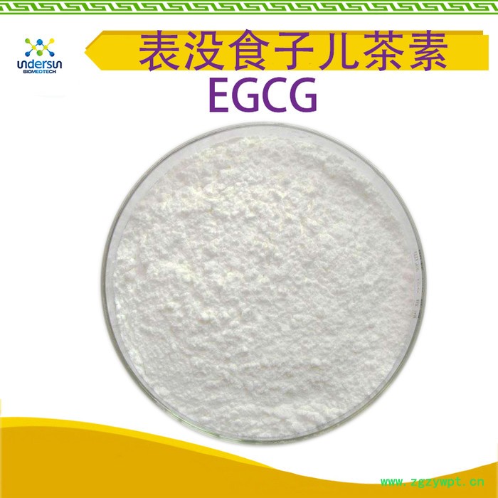 陕西昂煦 表没食子儿茶素没食子酸酯(EGCG)生产厂家绿茶多酚 现货 表没食子儿茶素没食子酸酯图2