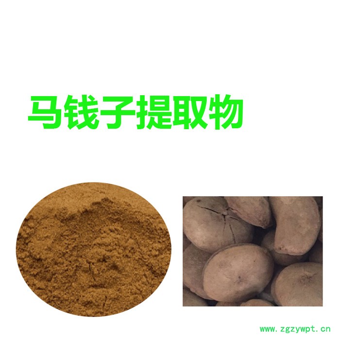 甘肃斯诺特  马钱子提取物 可水溶  马钱子粉 食品原料图2