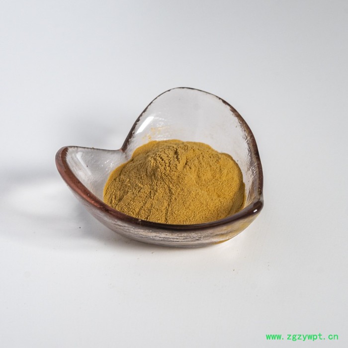 西安金萃坊  马钱子提取物10:1 水溶马钱子粉 马钱子萃取物 量大从优