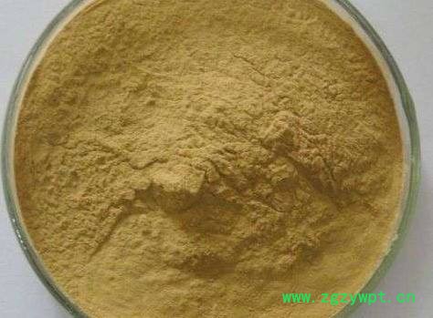 乌梢蛇提取物 植物提取物 陕西华实生物 sc厂家直供图4