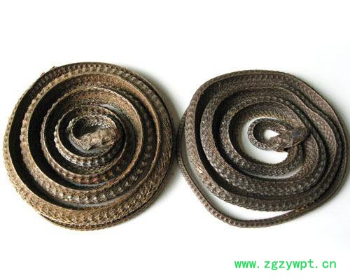 乌梢蛇提取物 植物提取物 陕西华实生物 sc厂家直供图2