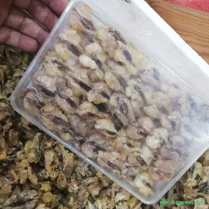 雪蛤油250林蛙油雪蛤油线油正宗雪蛤线图3