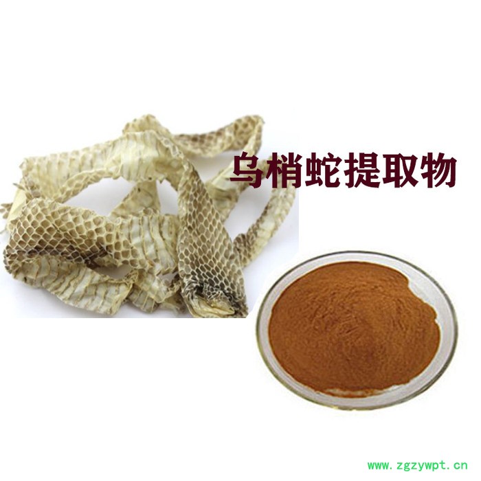 乌梢蛇提取物  乌梢蛇粉图2