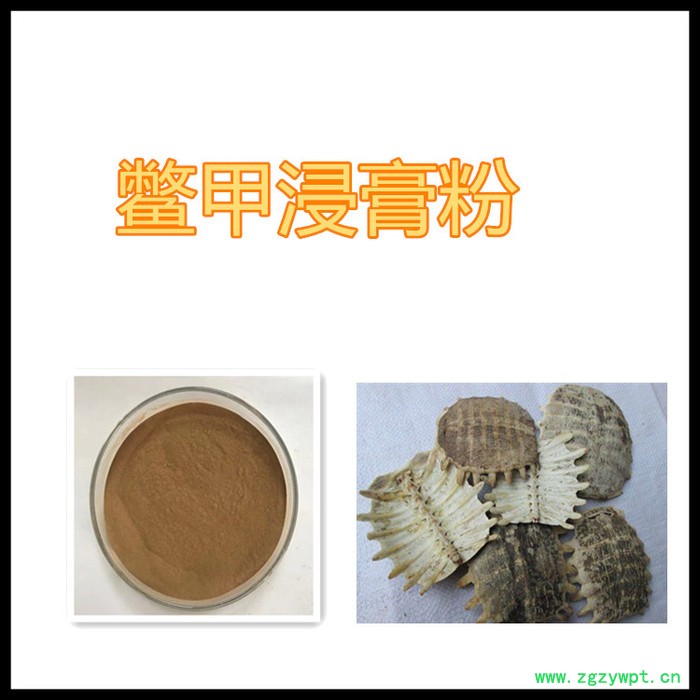 甘肃斯诺特 鳖甲粉   全水溶   鳖甲浸膏粉
