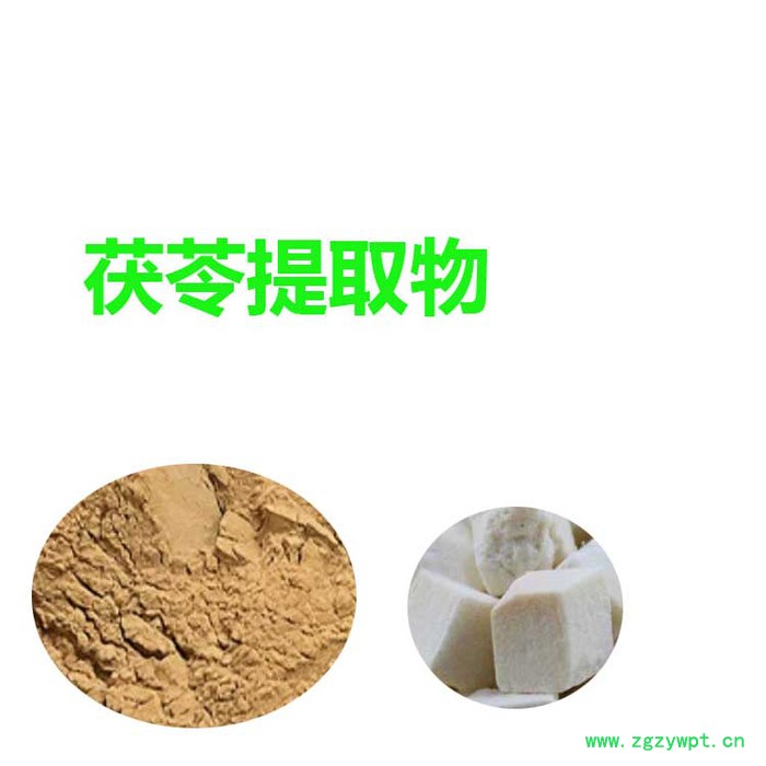 甘肃斯诺特 鳖甲粉   全水溶   鳖甲浸膏粉图3