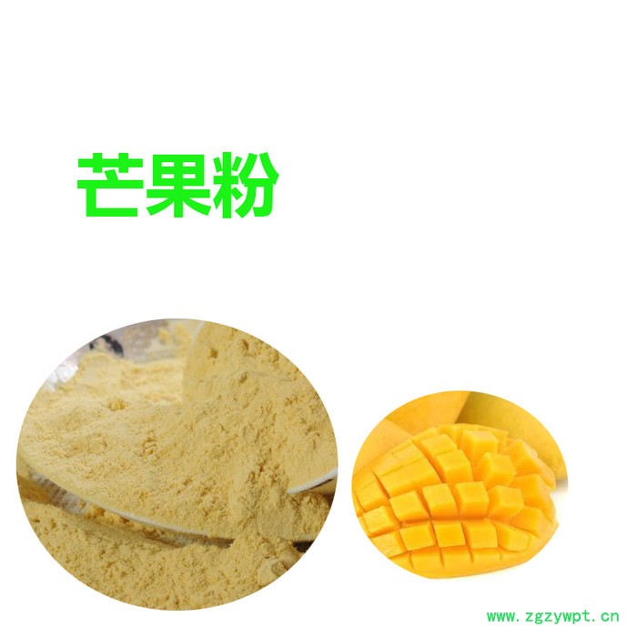 甘肃斯诺特 鳖甲粉   全水溶   鳖甲浸膏粉图4