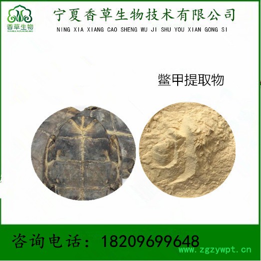 鳖甲提取物 团鱼盖速溶粉、脚鱼壳粉、上甲提取物**粉