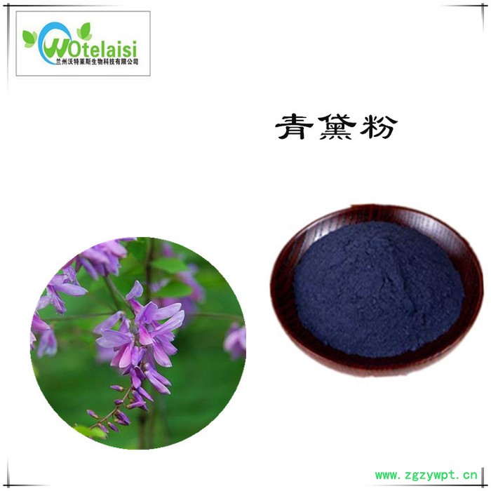 沃特莱斯 青黛提取物10:1  速溶青黛粉图4