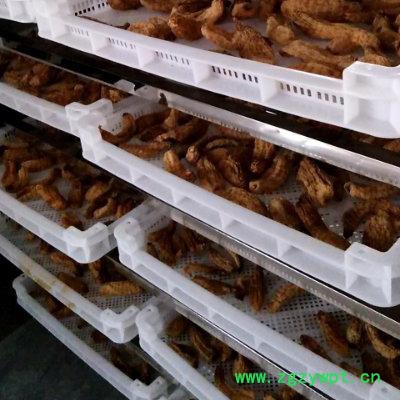 中药材烘干机 牛黄专用热风循环烘箱 牛肉牛筋干燥箱厂家定制图5