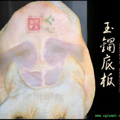 【地理标志产品】豫川**外塘**生态老鳖**水鱼团鱼王八外塘