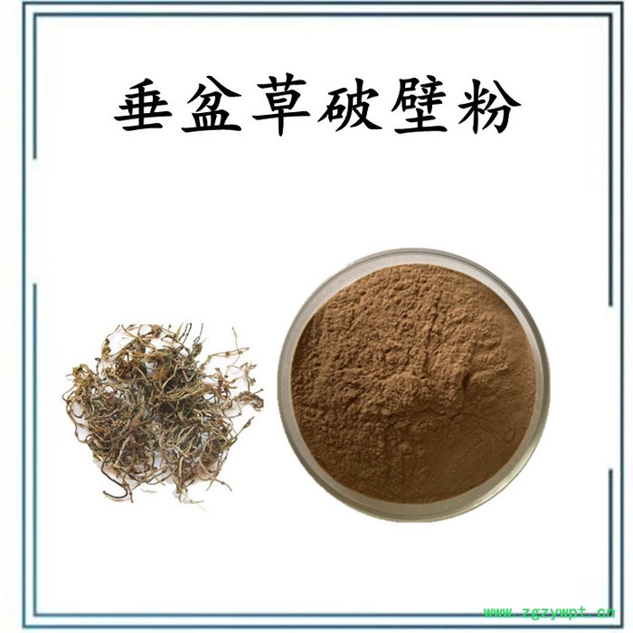 扶风斯诺特  地龙破壁粉  水溶 可定制图4