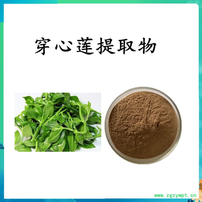 扶风斯诺特  地龙破壁粉  水溶 可定制图3