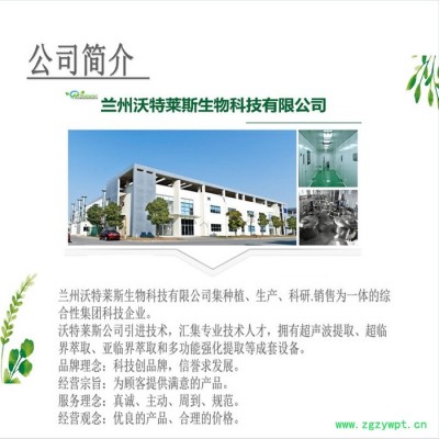 速溶地龙蛋白肽98%  地龙肽 地龙提取物