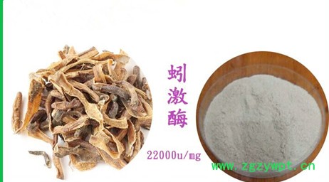 现货供应地龙提取物蚯蚓纤溶酶抗血栓蚯蚓提取物粉末CAS号:556743-18-1图3