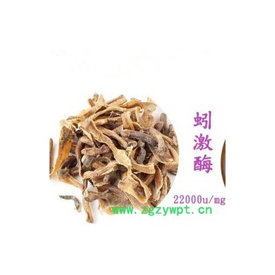 现货供应地龙提取物蚯蚓纤溶酶抗血栓蚯蚓提取物粉末CAS号:556743-18-1