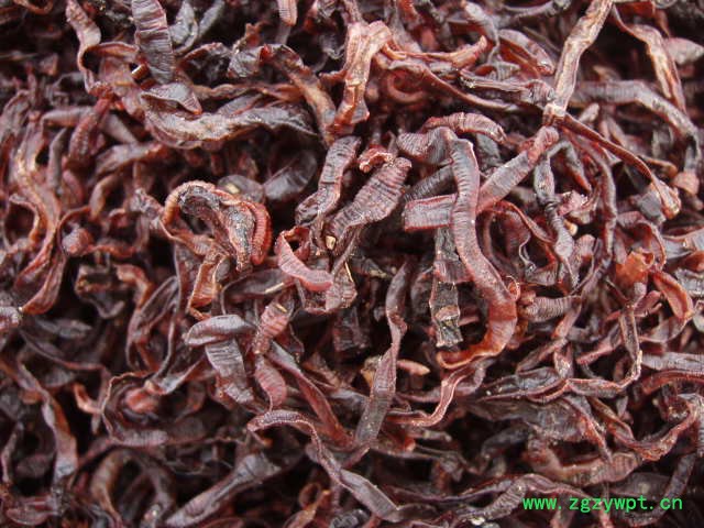 干蚯蚓 供应贾立明大平二号贾立明干蚯蚓、干蚯蚓、各种质量干蚯蚓 地龙蛋白 地龙粉图4