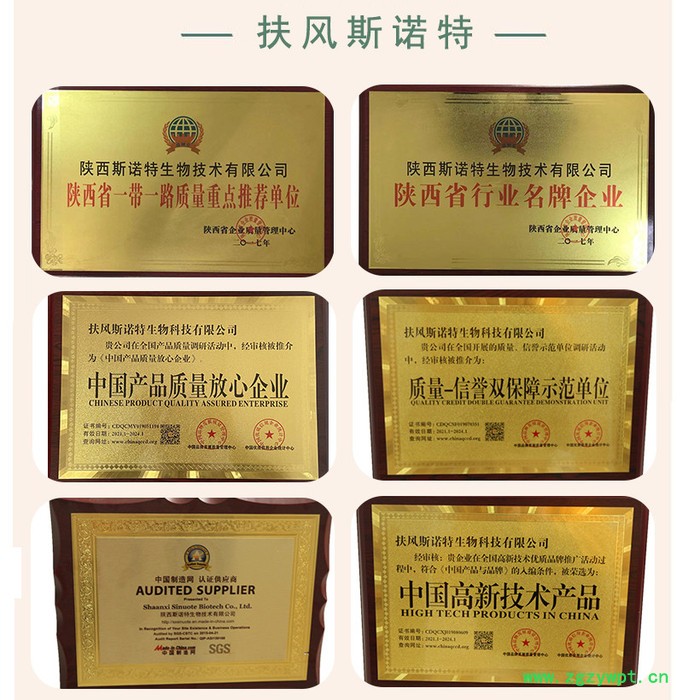 地龙提取物 地龙蛋白 地龙精华图2